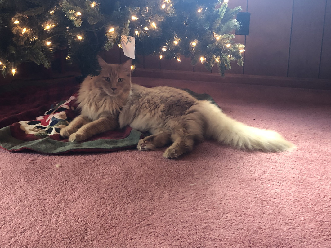 6E371777-4AB2-45BB-977D-6A655FE7B23F