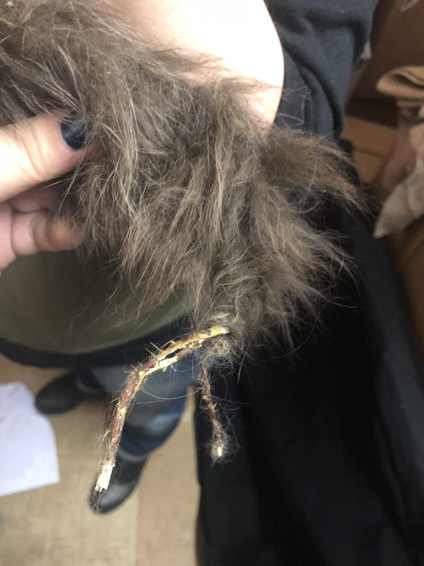 E996C57C-199F-4826-A61F-363941EFAD04