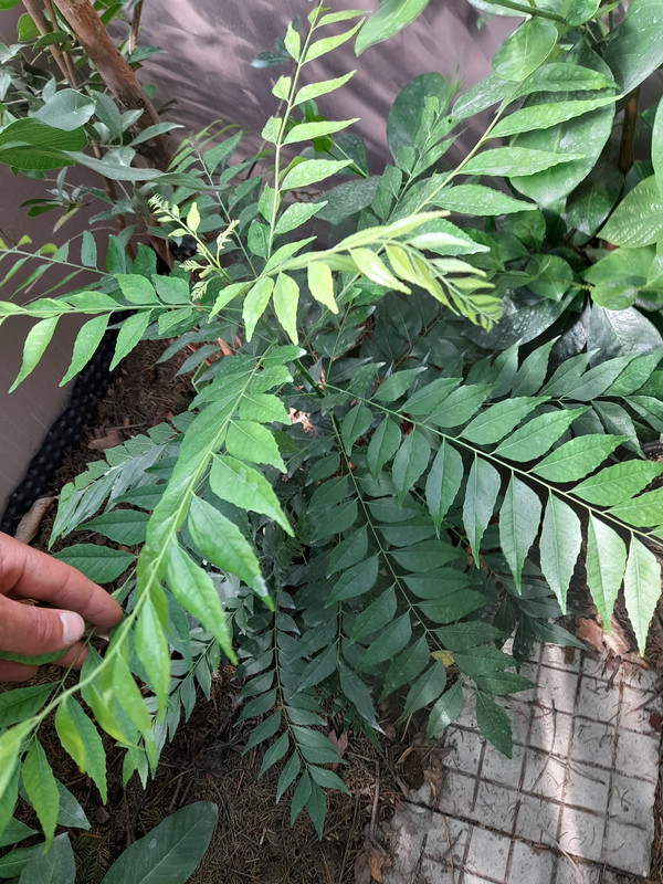20210903_110610
