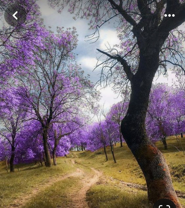 Screenshot_20240331_162104_Pinterest