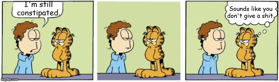 Garfield2.jpg