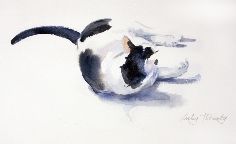 ROLLING-CAT-1-1-LF148-1