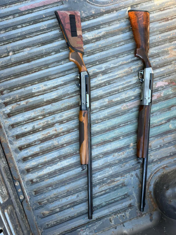 603866711-1255980606367111-2007361037254907719-n