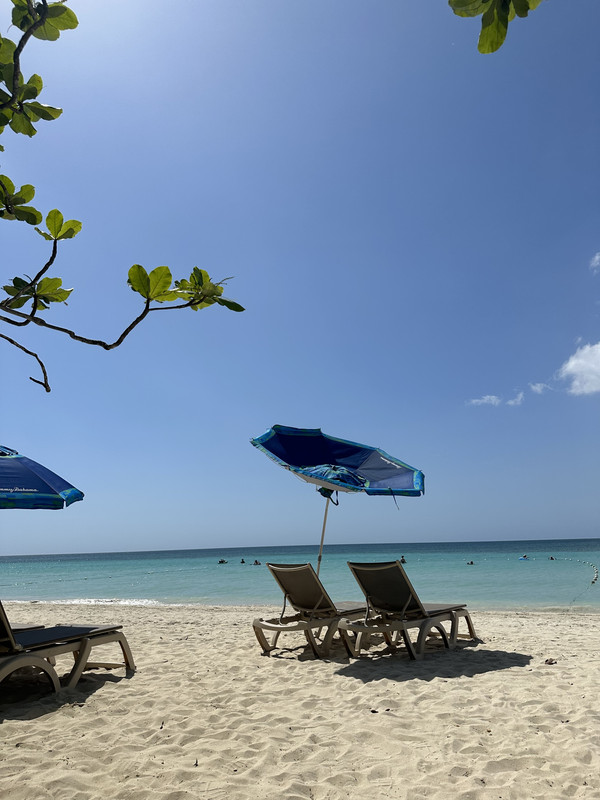 9698641A-27E9-42E5-888F-BD619290774B