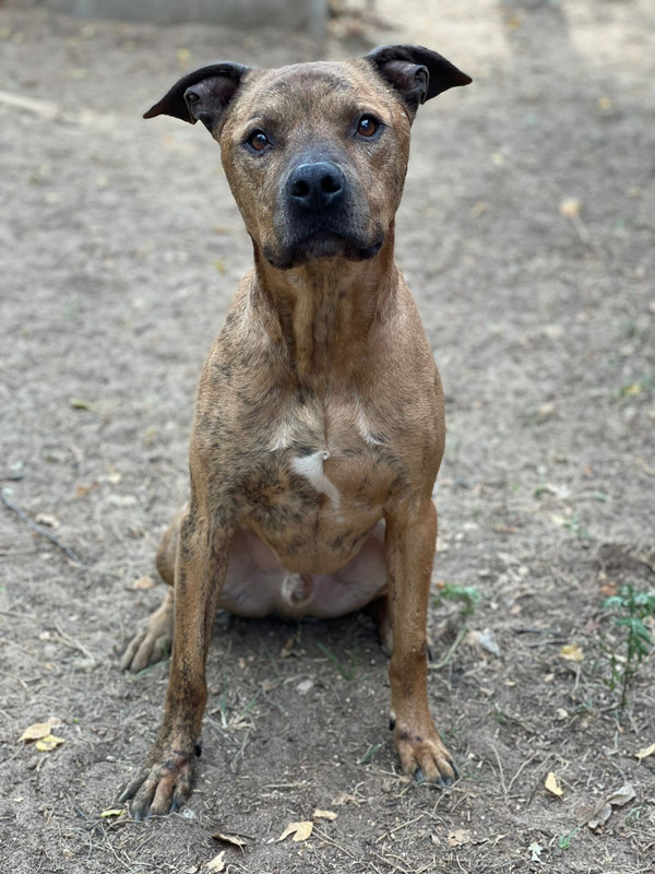 WhatsApp Image 2022-08-05 at 20.23.26 (2)