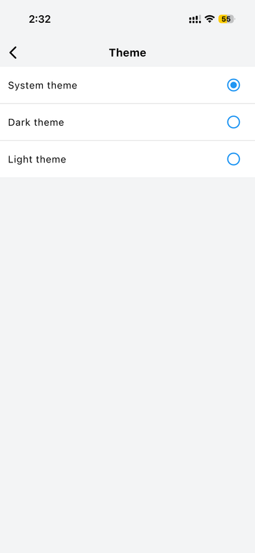 Theme Selection Light Dark System