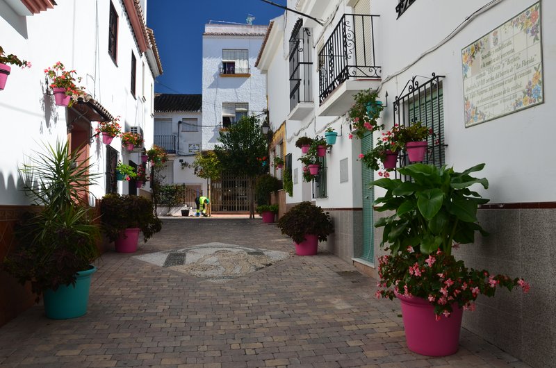 ESTEPONA-9-3-2017 - Málaga y sus pueblos-2009/2017 (90)