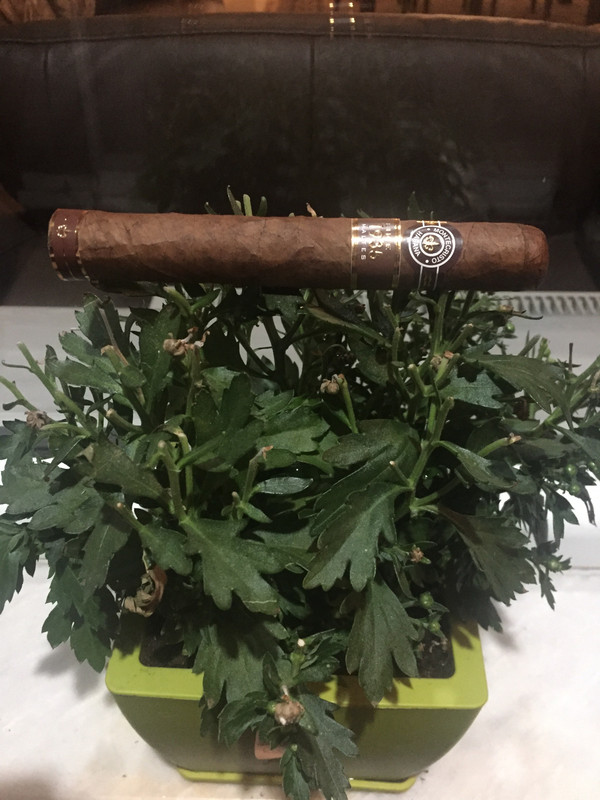 19C493E5-316F-428E-9488-44729D89E978