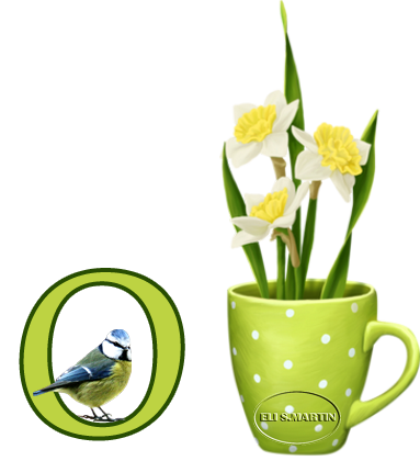 Taza con narcisos O