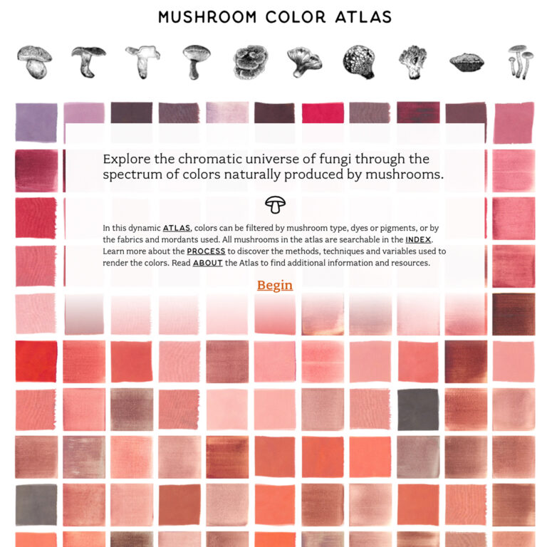 Partages, site des teintures de champignons de Julie Beeler