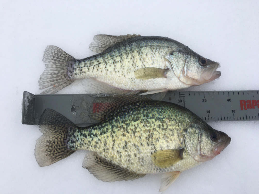 66F17AF2-CEE1-4897-8001-7817EC107F8D