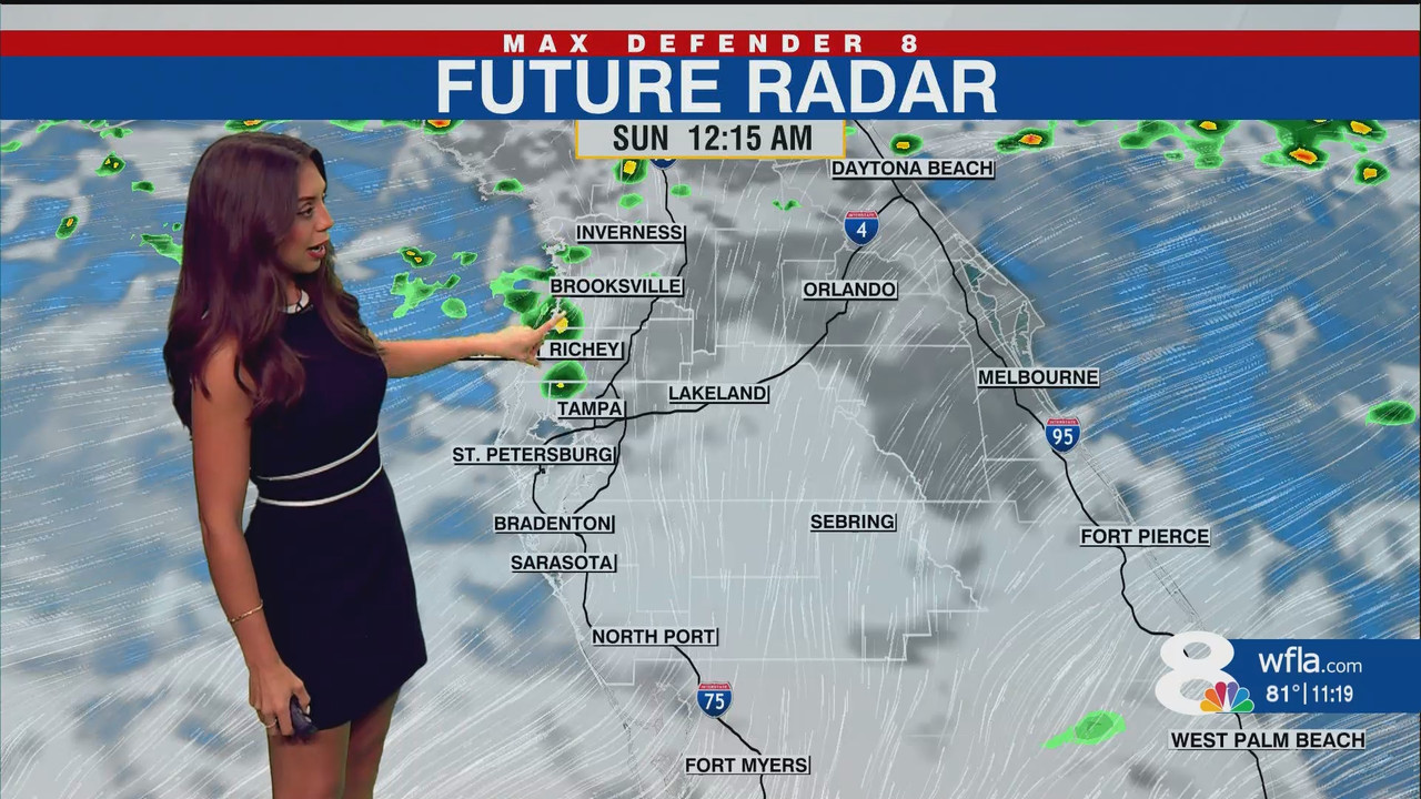 NewsChannel 8 at 11p Saturday_20250824_04000429.ts_snapshot_20.45.712