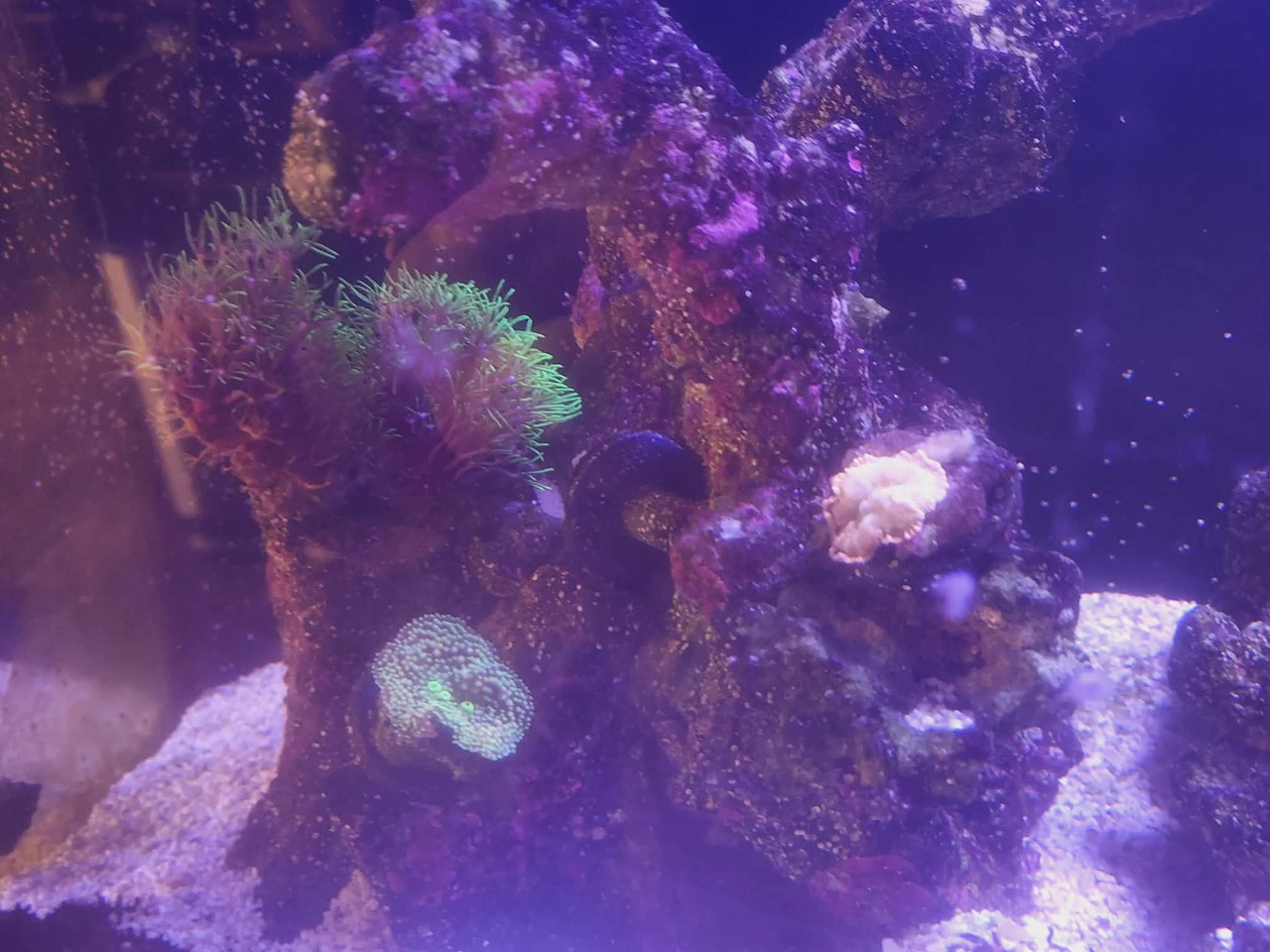 4b3db962 9bc7 45d9 b414 0740b34a08b1