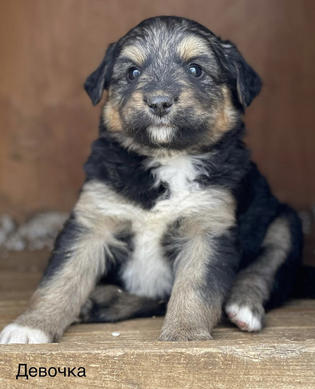 7D52F86B-53DE-484E-8CBB-74641EC707D5