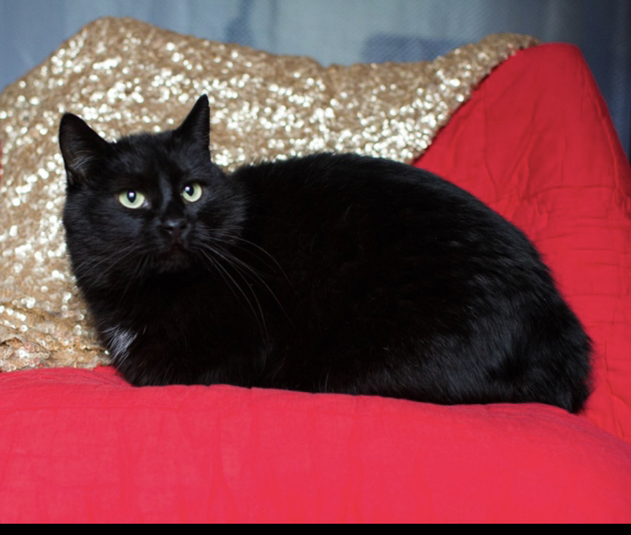 EEEE206D-533A-4CF9-B67F-3118B1E29D29