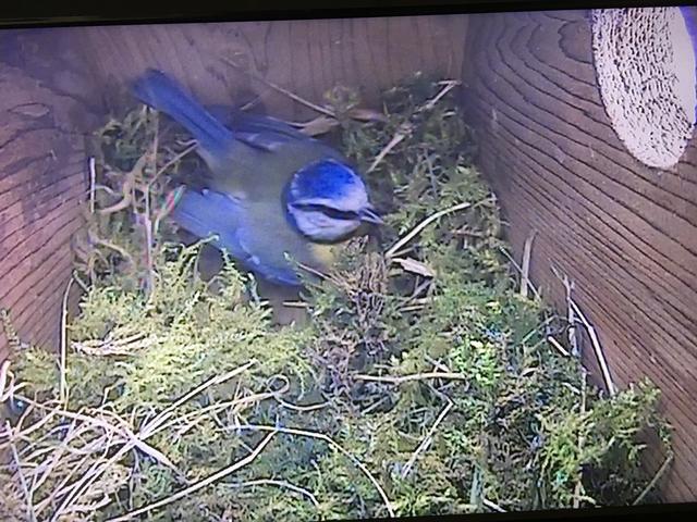 B68DE336-342D-4F13-BF66-43AA6654CDB2