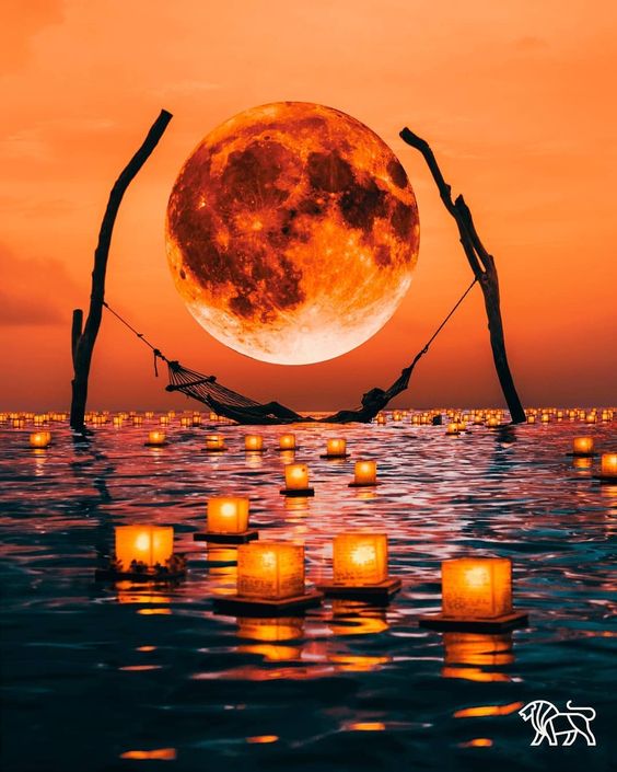 orangesunhammock.jpg