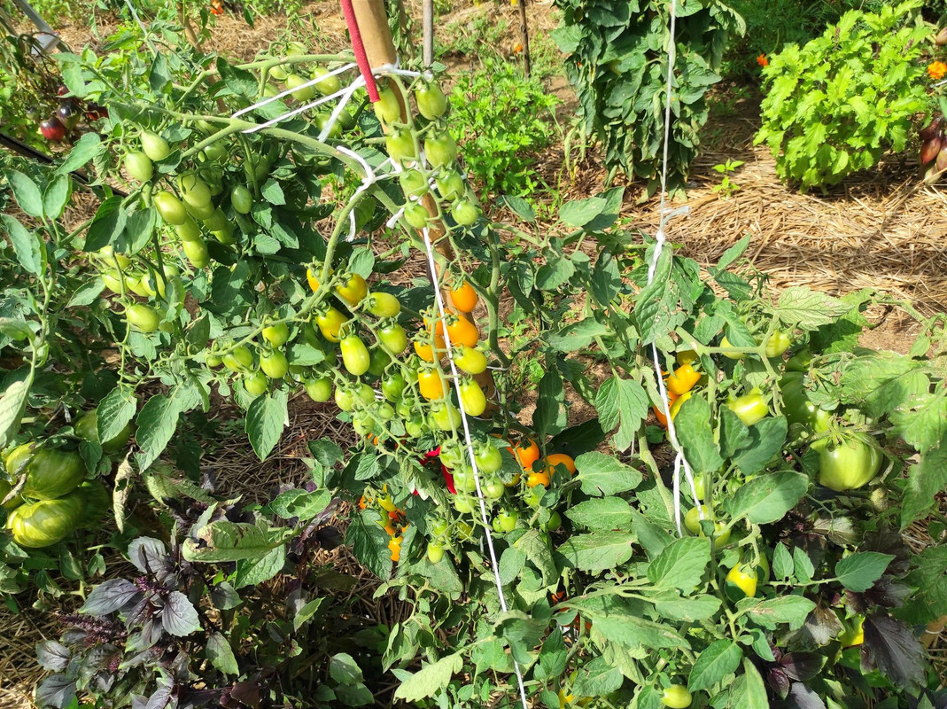 460536584_8285964441449182_3215271313566171367_n