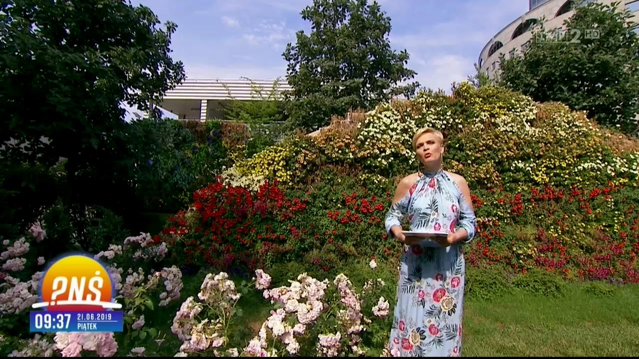 V0323_20190627_073124.mp4_snapshot_04.06_[2019.07.02_12.15.21]