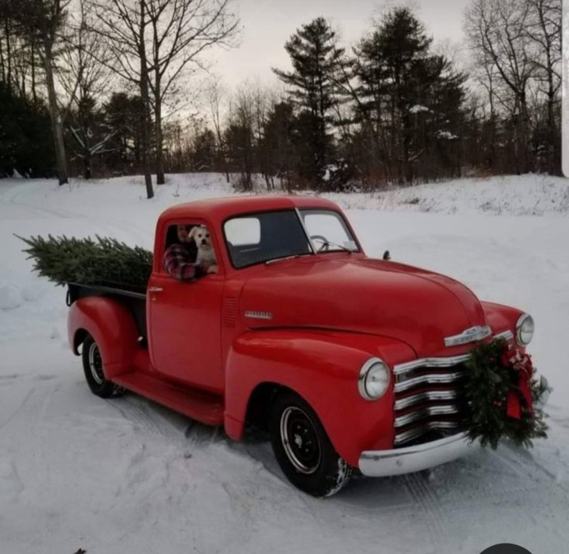 Screenshot_20230515_193353_Pinterest