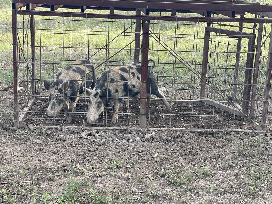 387E277B-8387-40B3-8002-D789652EC74C