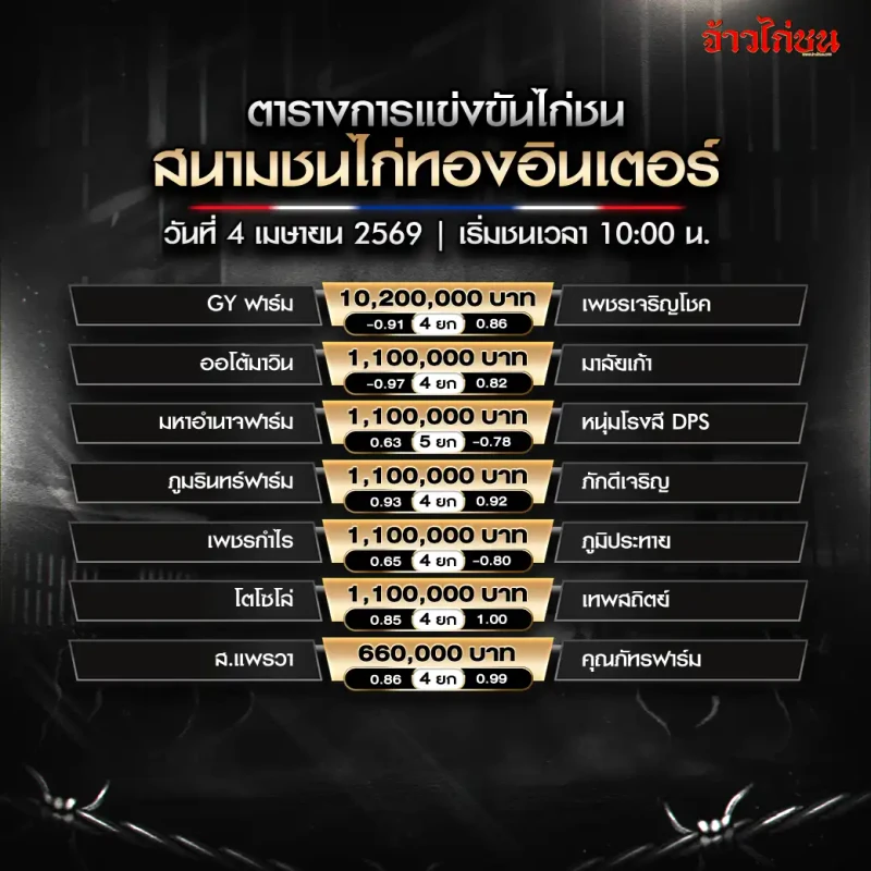 โปรแกรมไก่ชน สนามชนไก่ทองอินเตอร์ วันเสาร์ที่ 4 เมษายน 2026