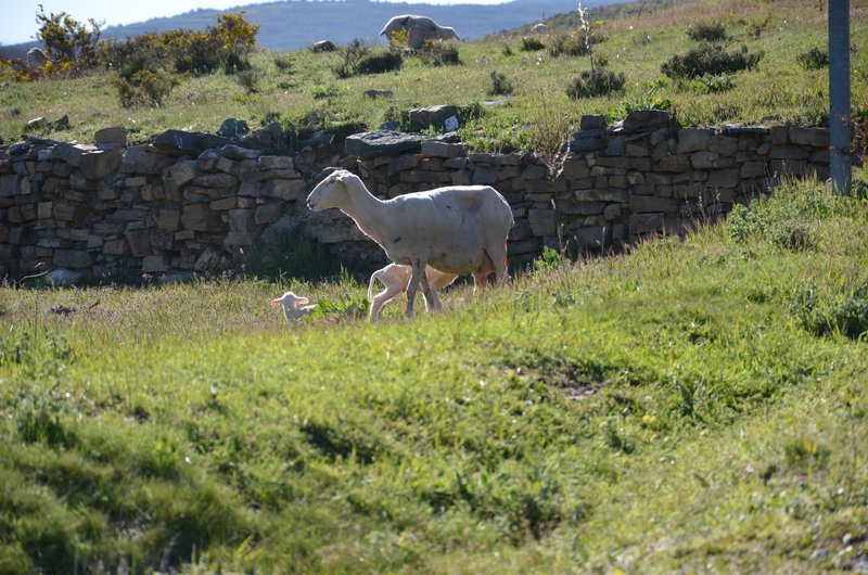 BRETUN-25-5-2013 - Soria y sus pueblos-2010/2013/2020 (21)