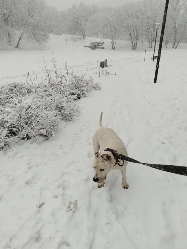 jxO3eeNi2VXVLXcixJEM1jCxC9c_0DVQ2nCXQXNcrtB6bNx_5Xg-abrOoT7Jxwc9eLE400nykxXCQ9bdI7fLhPqJ