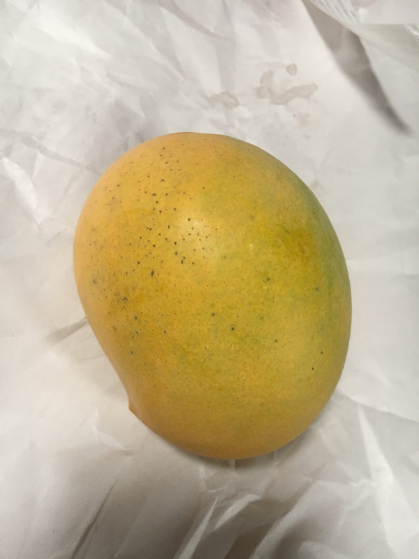 F4BC615B-348E-4640-B221-1DEC4A1D6314