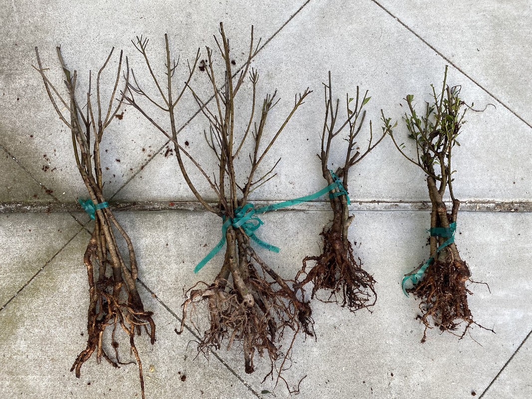 439FB0E5-AD30-4CCE-8837-87D5F06E84C9