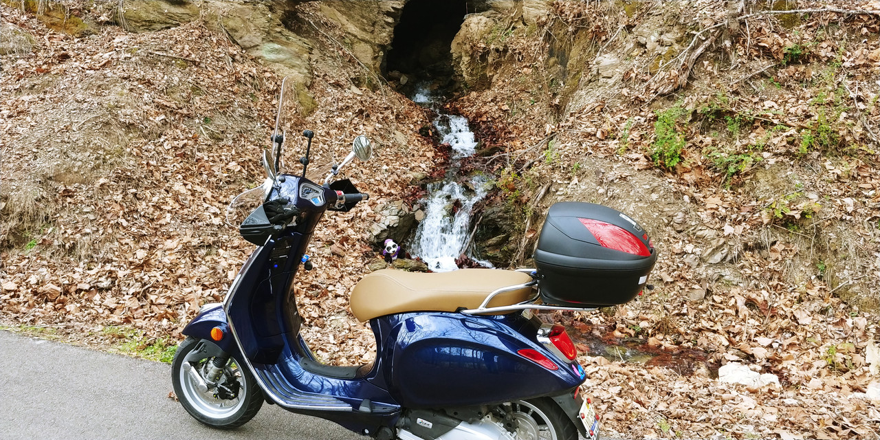 External inline image provided by member with no explanatory text