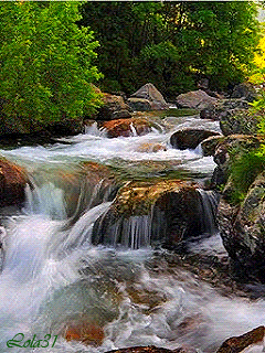 9A0268D1-F740-422F-ADA6-6B61A948B8FF