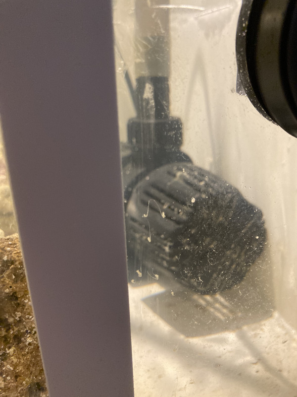 9777A797-DB8E-48D5-A643-8BDEE9C44EB0