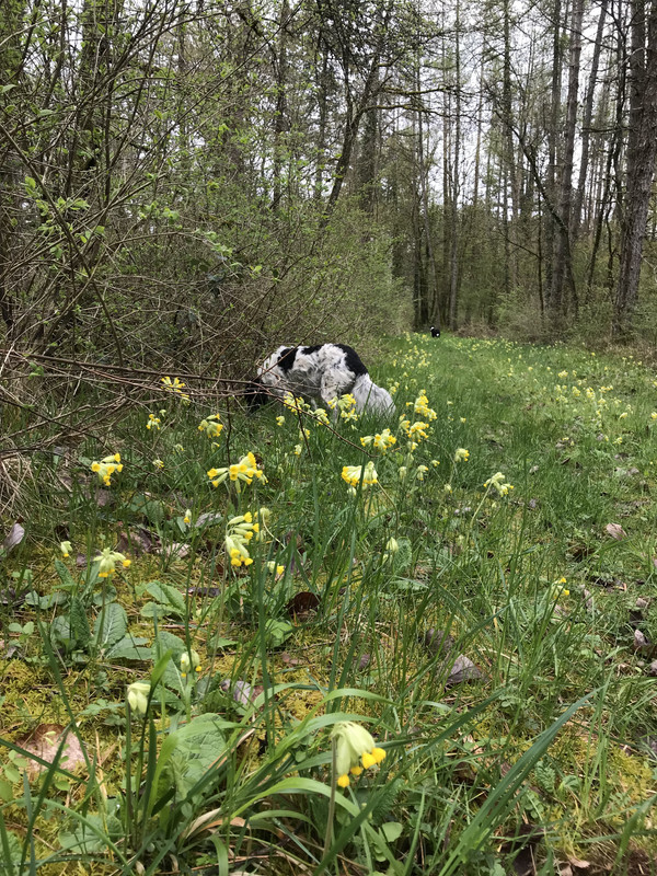 0CA56A99-2024-4627-93E9-22300CCF9E22