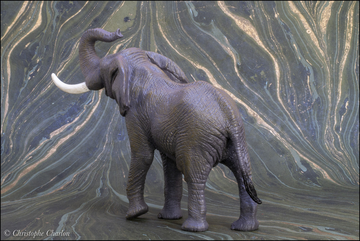 Mojo 2021 African elephant: a Walkaround by Kikimalou Mojo-381005-African-elephant-5