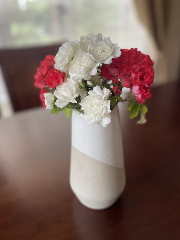 E6F1F6C2-952F-44F8-B250-B5A2DFE5BE5C