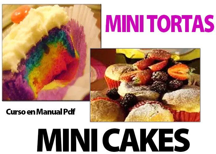 Curso elaboracion de minicakes ponquesito mini tortas muffins Manual P