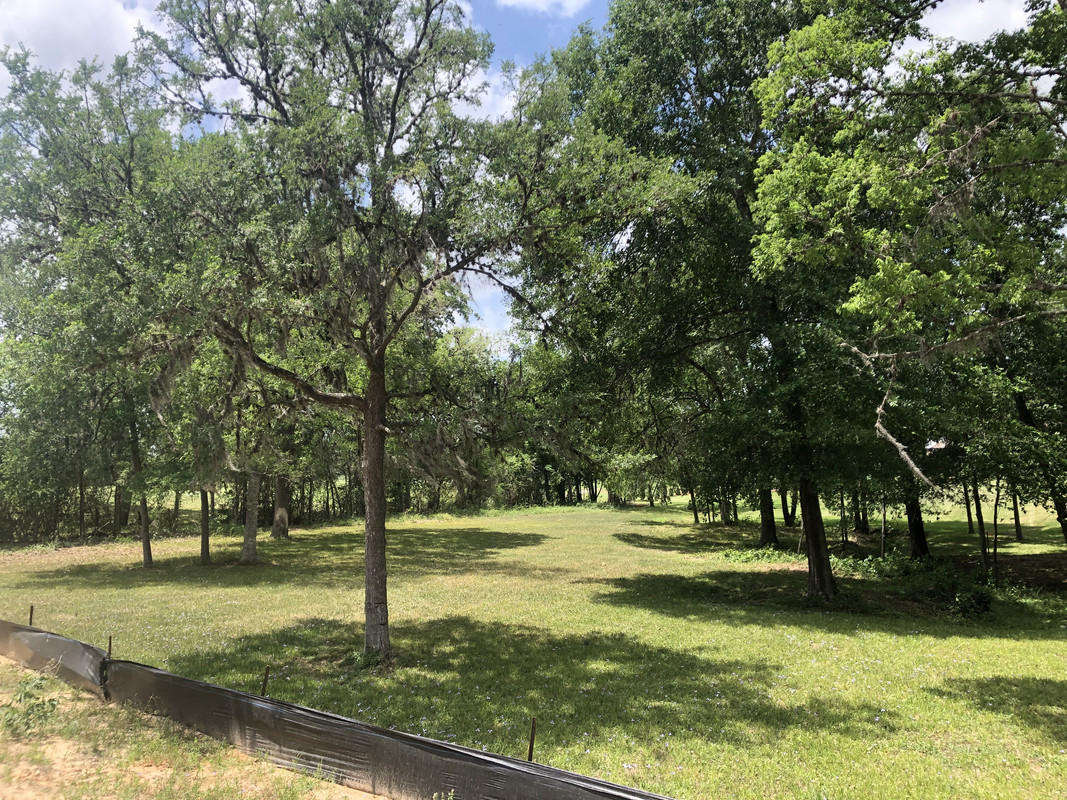 549360F5-ECCF-44A8-B6A0-AED675B88C50