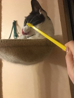 8787-C747-BFB3-4731-B663-BF84-F702-EEC3.