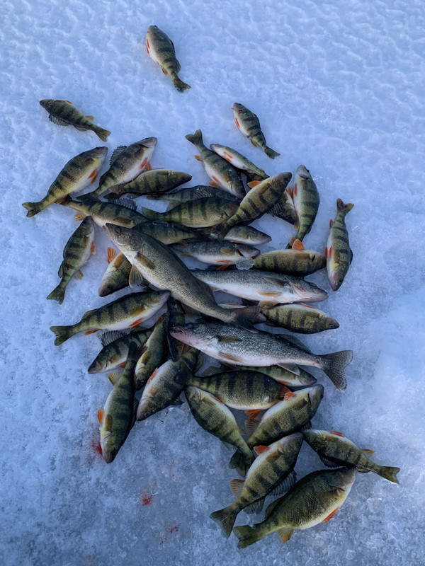 5BB28569-B315-475B-AB17-C2C1CA447F08