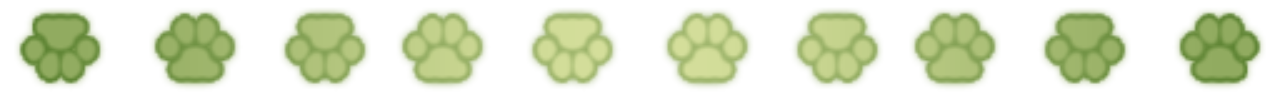 dividers by @necromii