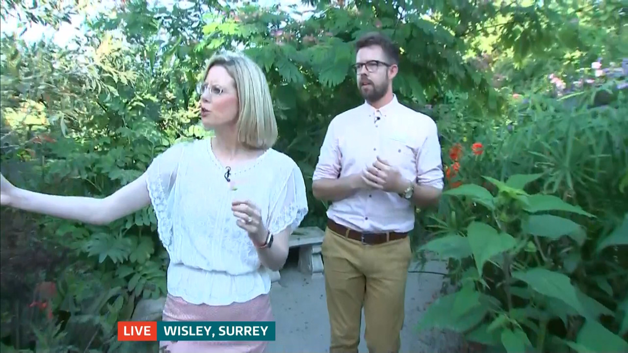 ITV News London_20220810_18001830.ts_snapshot_22.32.550