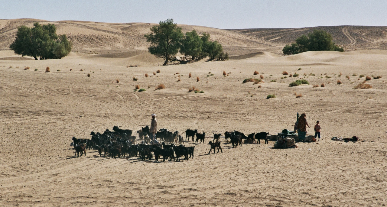 El Valle del Drâa, la gran arteria del sur de Marruecos - Blogs de Marruecos - Introducción (13)