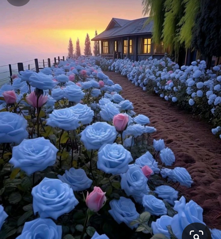 Screenshot_20240429_213320_Pinterest