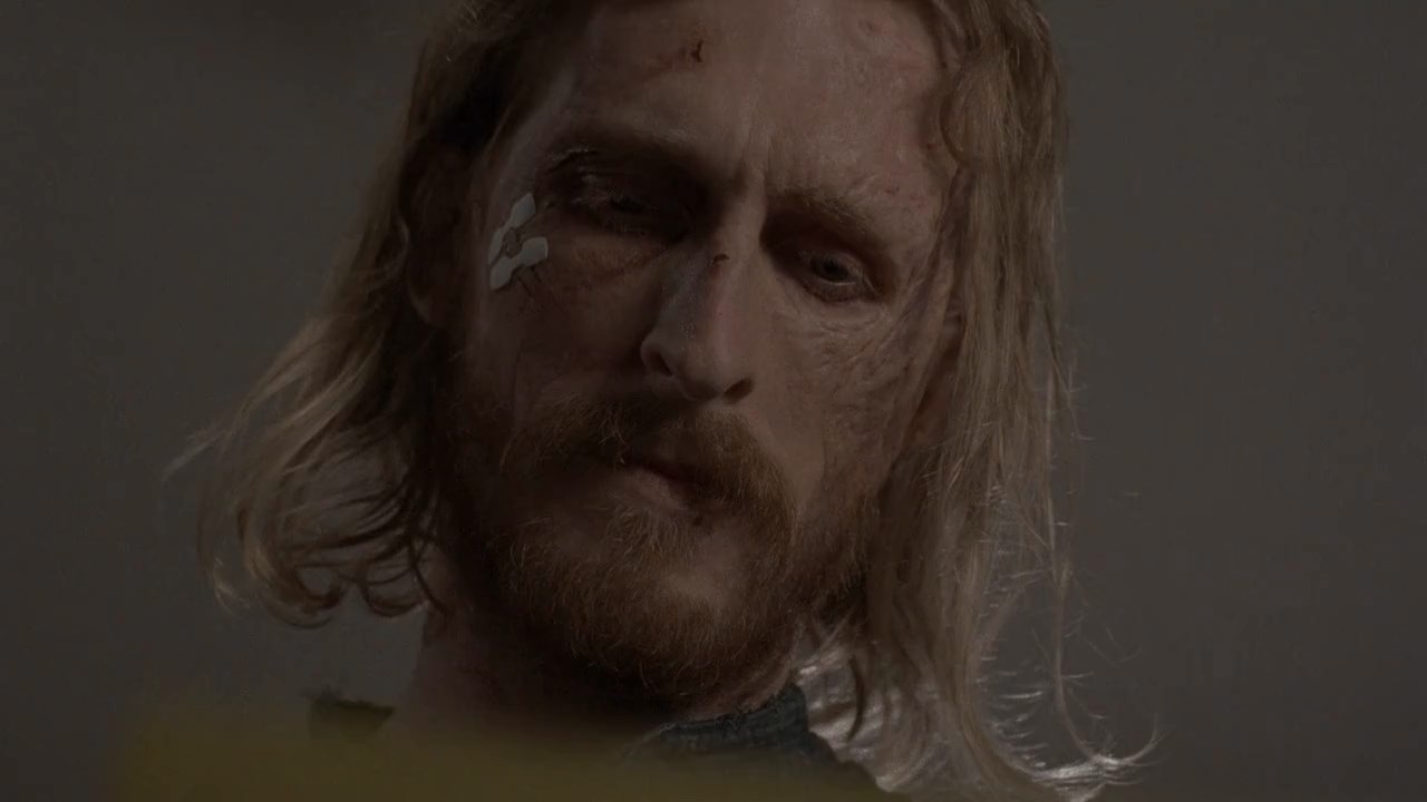 The Walking Dead (2017) Season 8 [English] BluRay 480p 720p ESub - Complete Screenshot