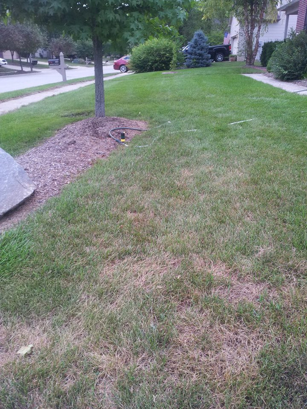 936493_10151584865580745_96937510_n