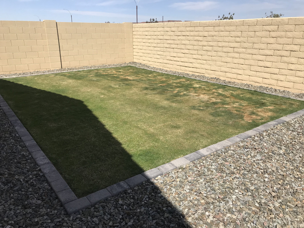 26B3033A-7469-4FFA-85AD-EC196D058B96