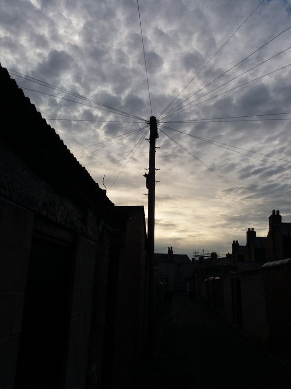 20210925-075316.jpg