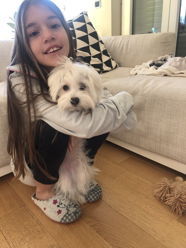 57B906E8-F0A6-4ABF-88D7-AC6C35948985