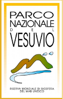 Nápoles y algo más y algo menos. Agosto 2022 - Blogs de Italia - De Sorrento a Pompeya. De Pompeya a Nápoles y de Nápoles a Barcelona (4)